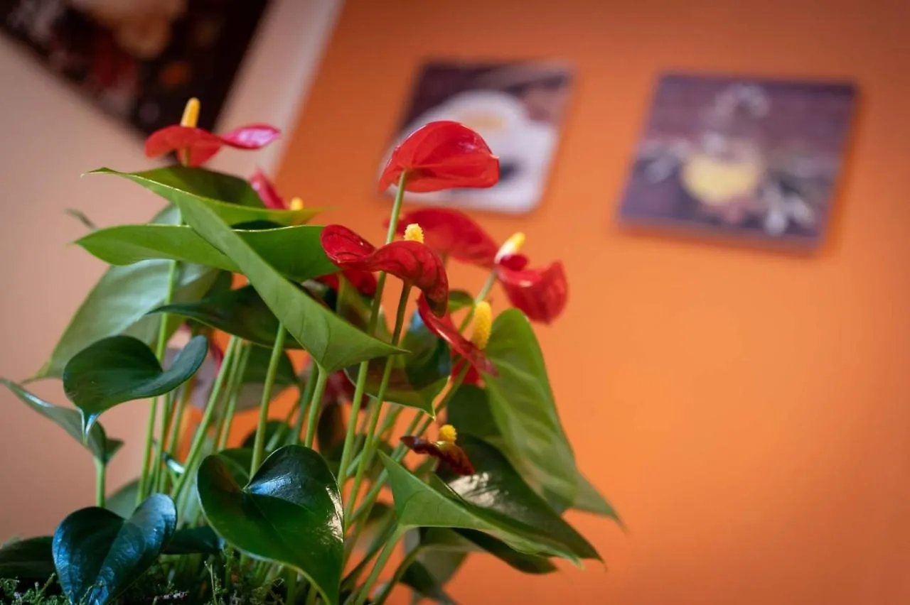 Apartamento Casa Martina Bérgamo