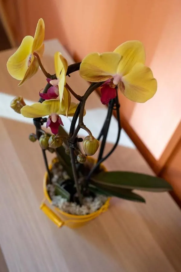Apartamento Casa Martina Bérgamo 0*,